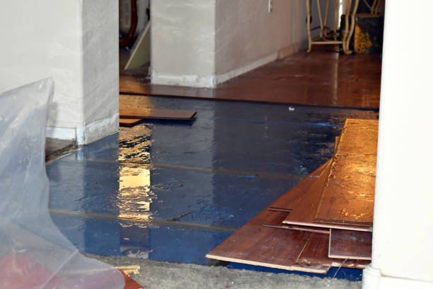Professional Sewage Cleanup technician working in Dante, SD