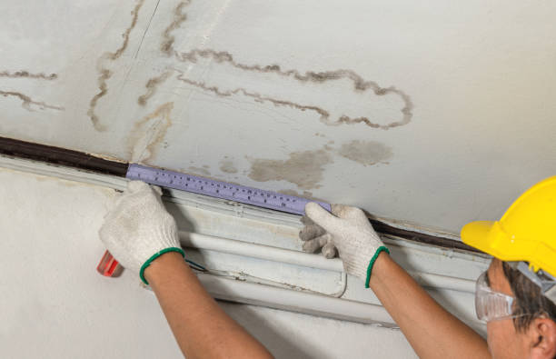 Reliable Sewage Cleanup contractor in Dante, SD by Water Damage Irwin